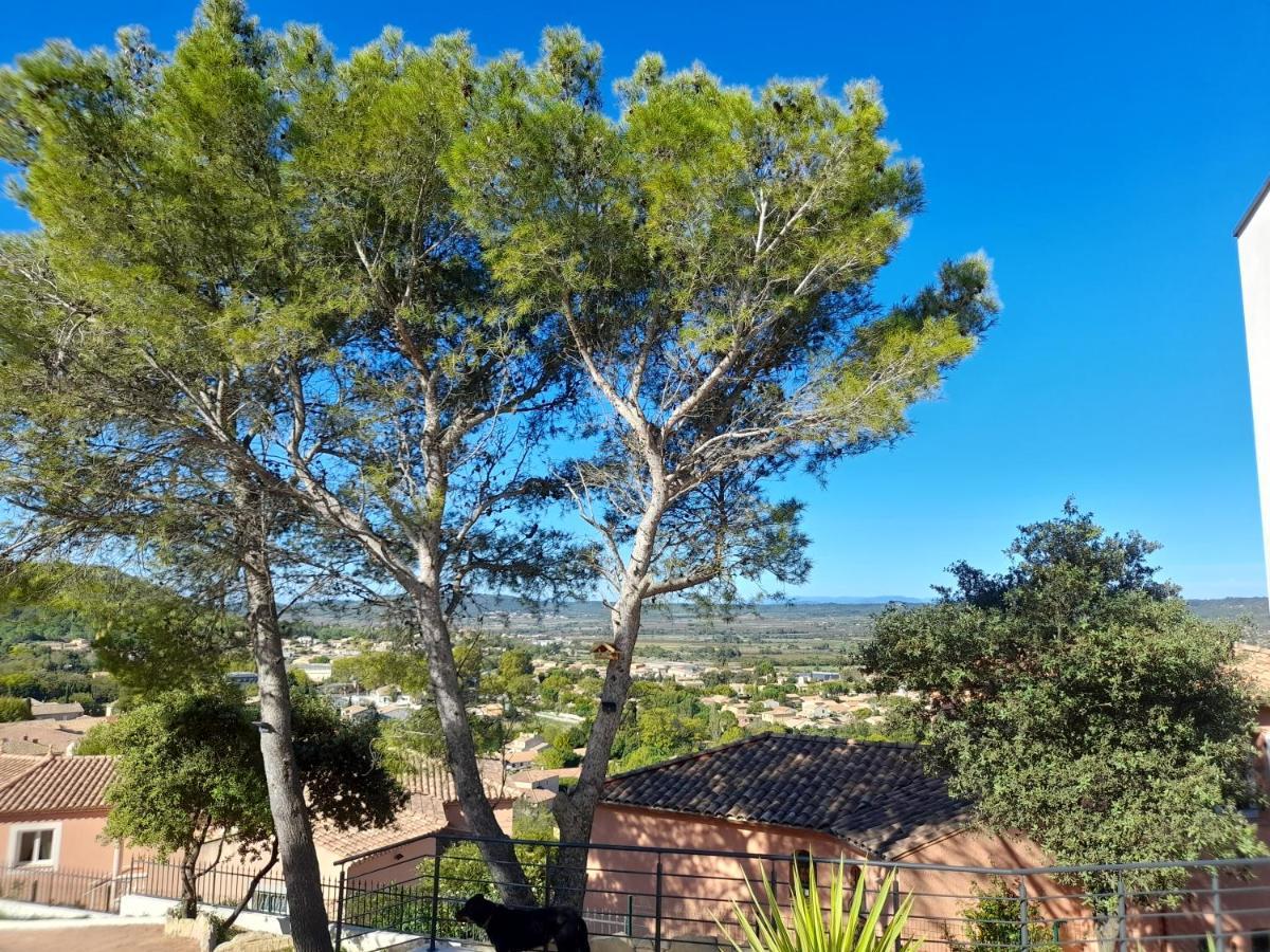 Studio Du Roc Des Garrigues Langlade Exteriör bild